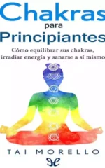 Chakras para principiantes